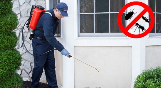 Ovacık Gümüşkurt İlaçlama böcek ilaçlama ve haşere kontrolü — ilaclama-tr.com